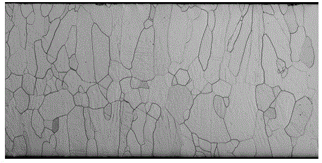 A method for producing hot-rolled pickling-free plates by strip continuous casting combined with reduction annealing