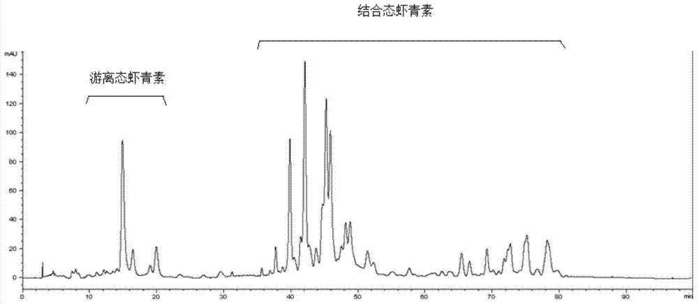 Astaxanthin apple vinegar beverage and fabrication method thereof