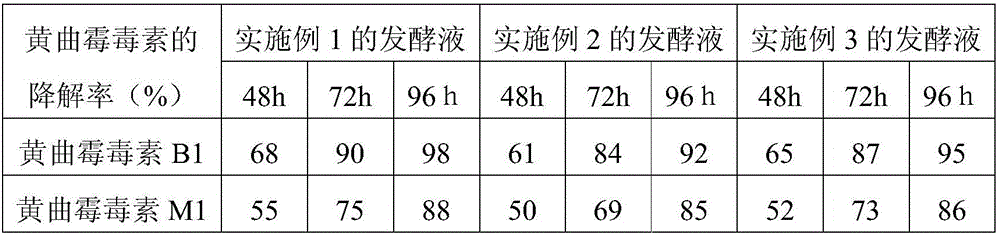 A kind of method utilizing bacillus pumilus to degrade aflatoxin b1 or m1