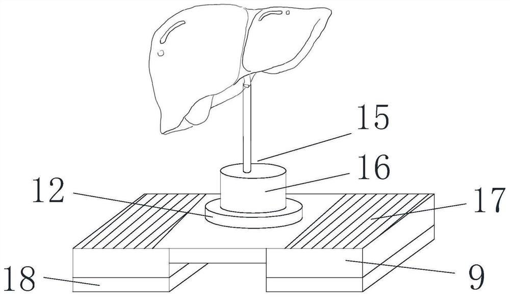 Radio frequency ablation simulation training device