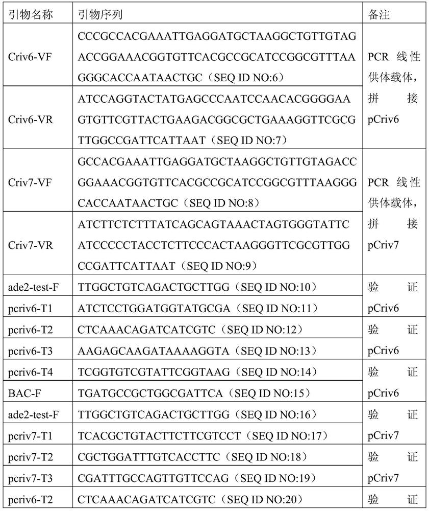 CRISPR/Cas9-mediated method for splicing large fragments of DNA