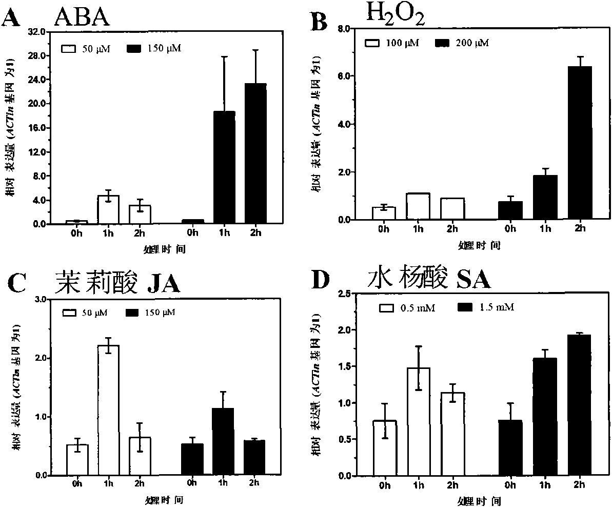 Rice protein OsAHL and use thereof