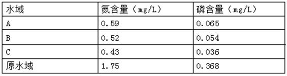 Plant fermentation extract for regulating seawater quality and preparation method thereof