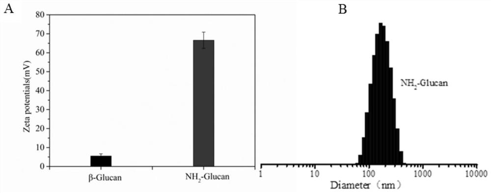 Targeting CpG nucleic acid drug delivery system and preparation method thereof