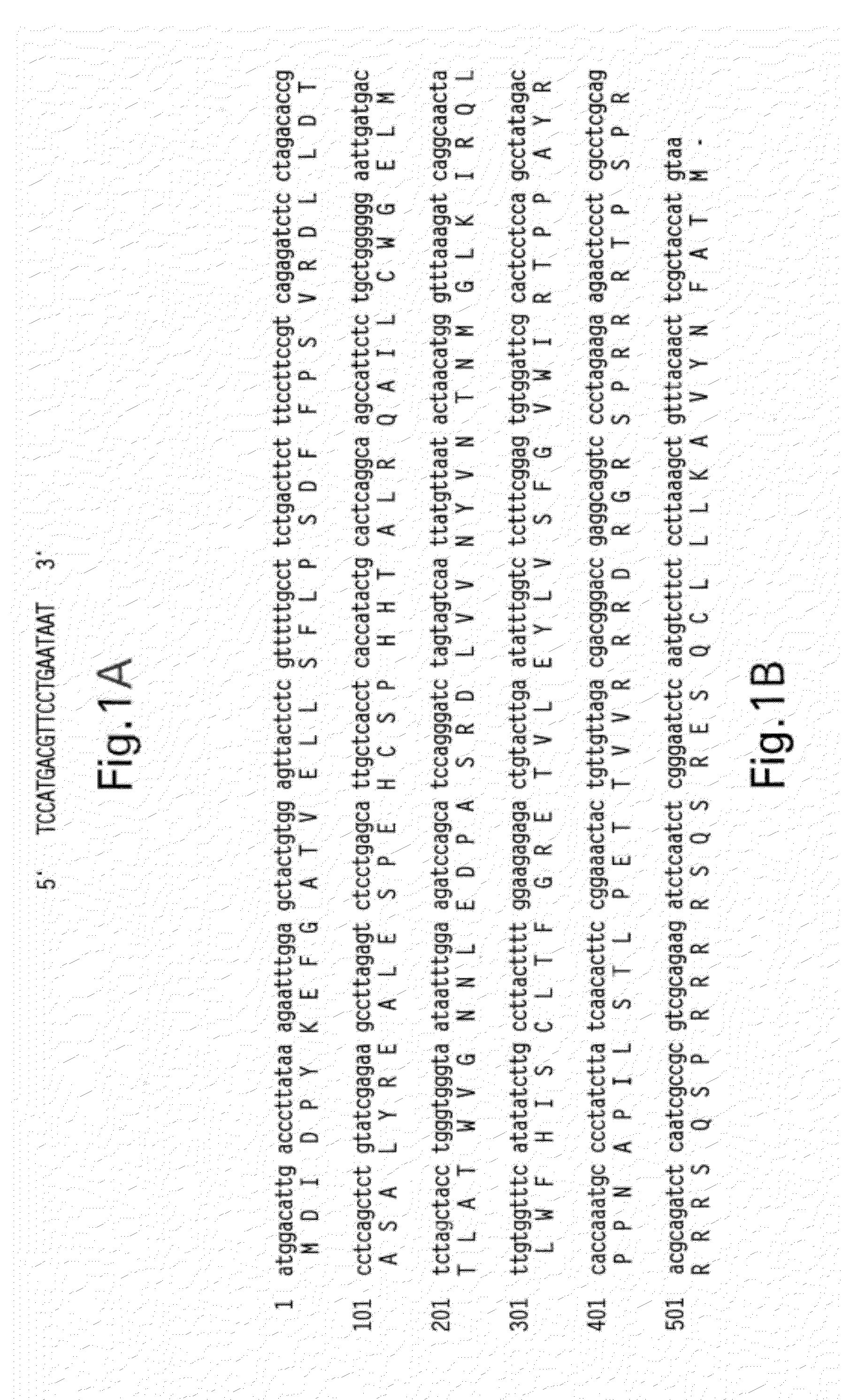 Packaging of Immunostimulatory Substances into Virus-Like Particles: Method of Preparation and Use