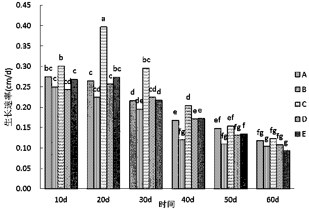 Method for manufacturing Lepista sordida cultivar by utilizing fungus residues