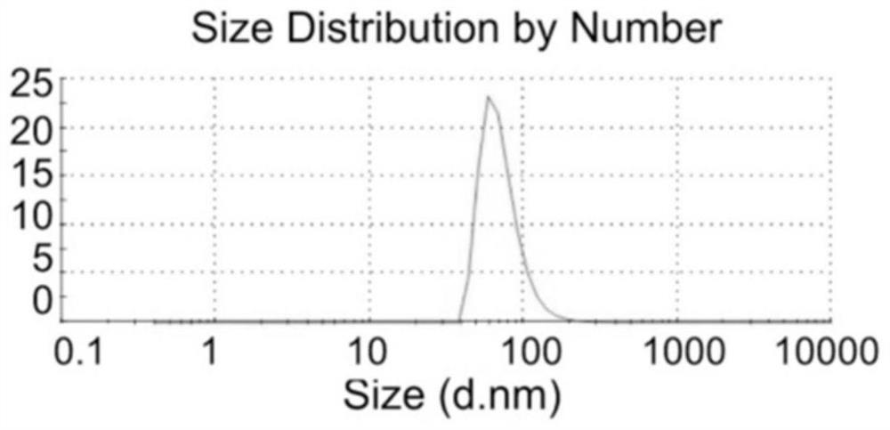 Extracellular matrix gel carrying mesenchymal stem cell exosome and preparation method thereof