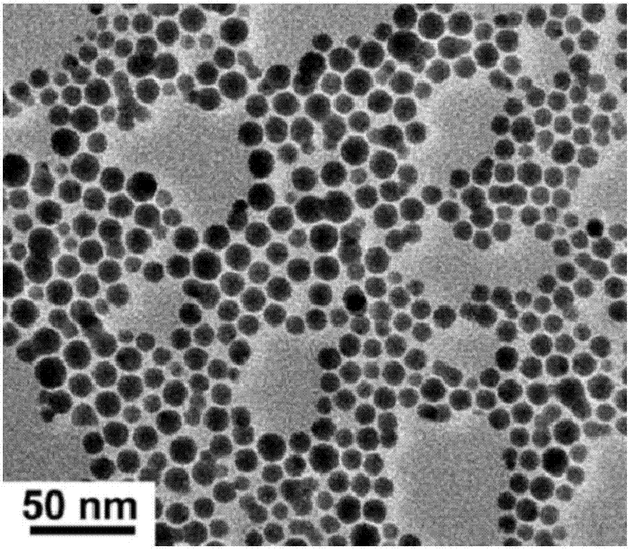 Lanthanide rare earth ytterbium-doped silver sulfide quantum dots, a preparing method thereof and applications of the quantum dots