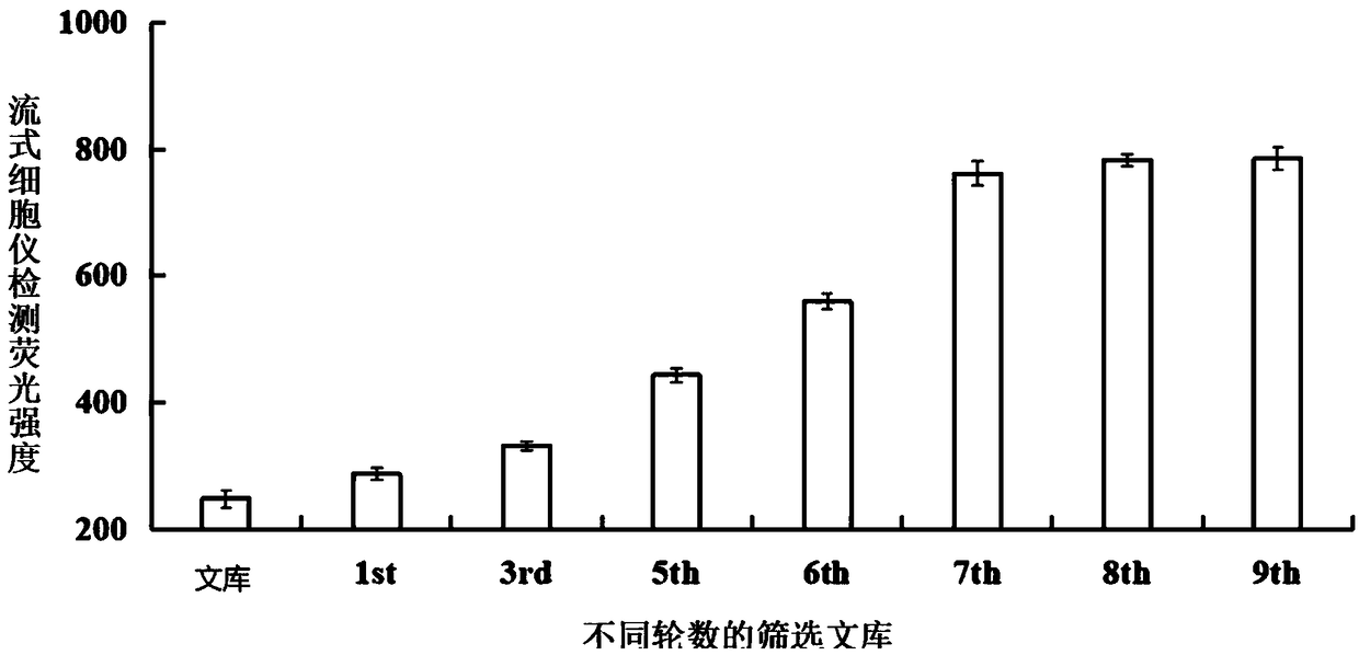 Nucleic acid aptamer and application thereof to detect trachinotus ovatus source pathogenic vibrio alginolyticus