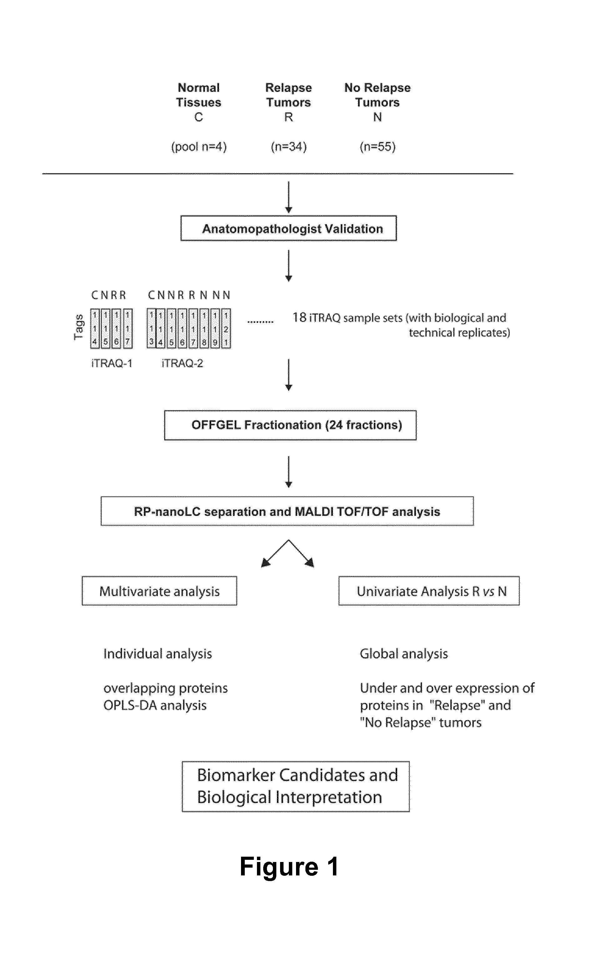 Method for In Vitro Diagnosing and Prognosing of Triple Negative Breast Cancer Recurrence