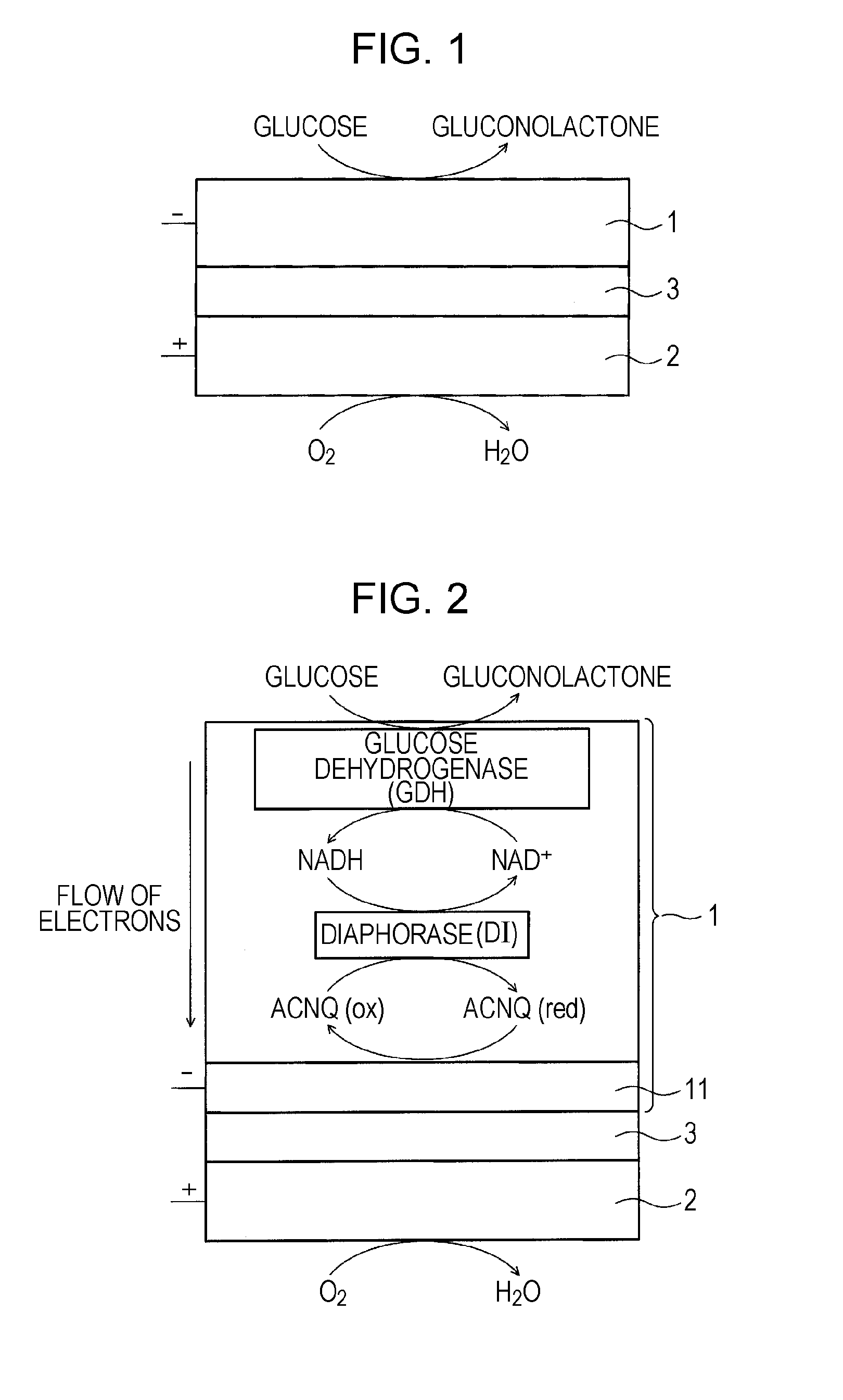 Fuel cell and method for manufacturing the same, enzyme-immobilized electrode and method for manufacturing the same, and electronic apparatus