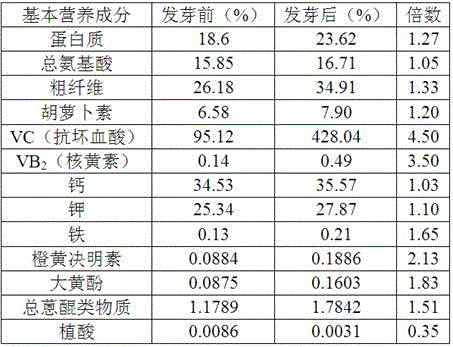 Cassia seed non-alcoholic imitation beer beverage and preparation method thereof