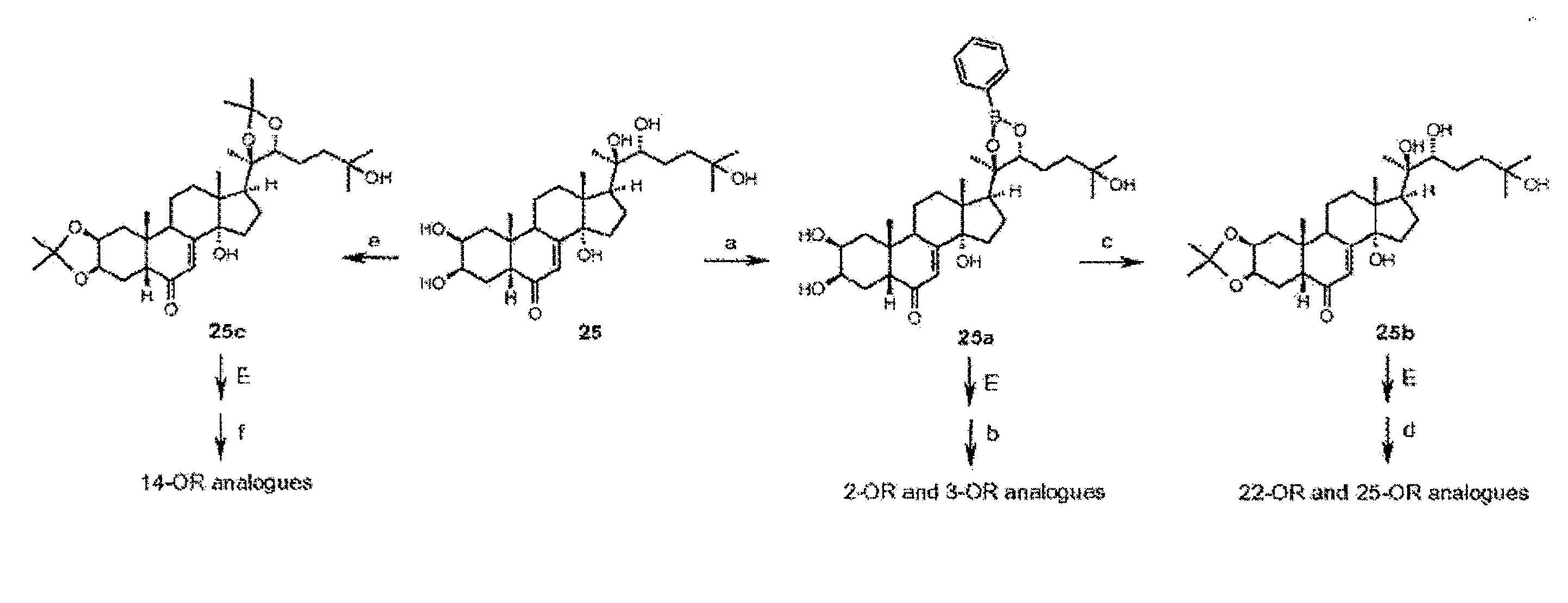 Steroidal Ligands and Their Use in Gene Switch Modulation