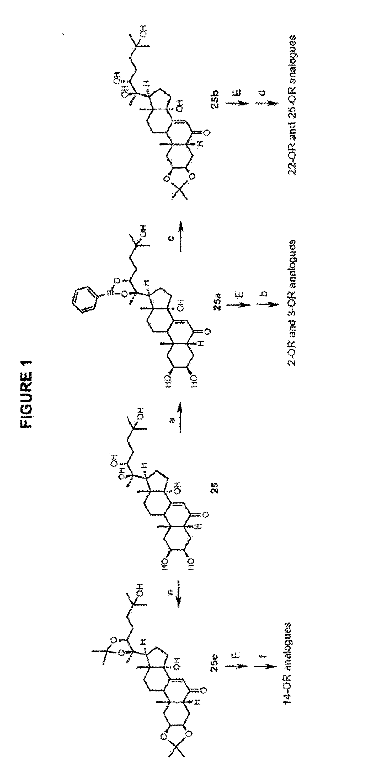 Steroidal Ligands and Their Use in Gene Switch Modulation