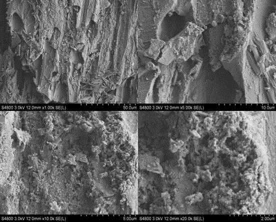 Preparation method of mulberry stem active carbon/ferrum and manganese oxide composite adsorbent