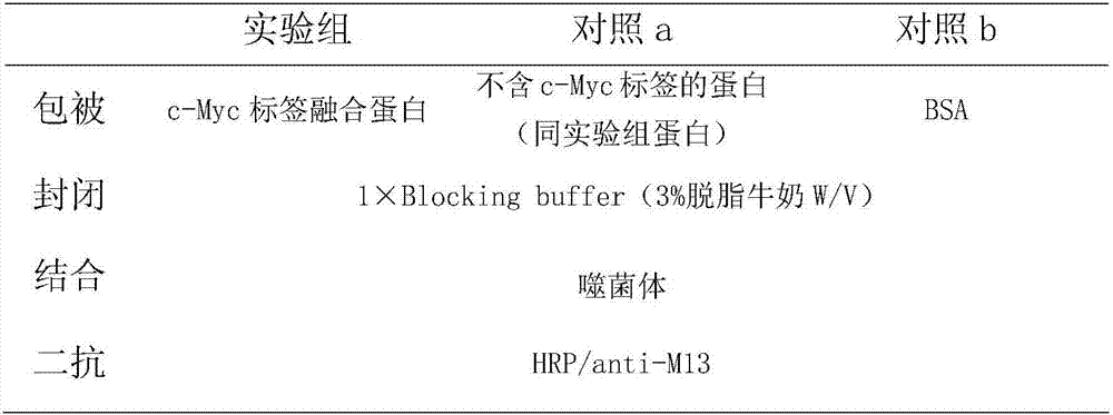 Affinity adsorption material based on c-Myc label nano antibody