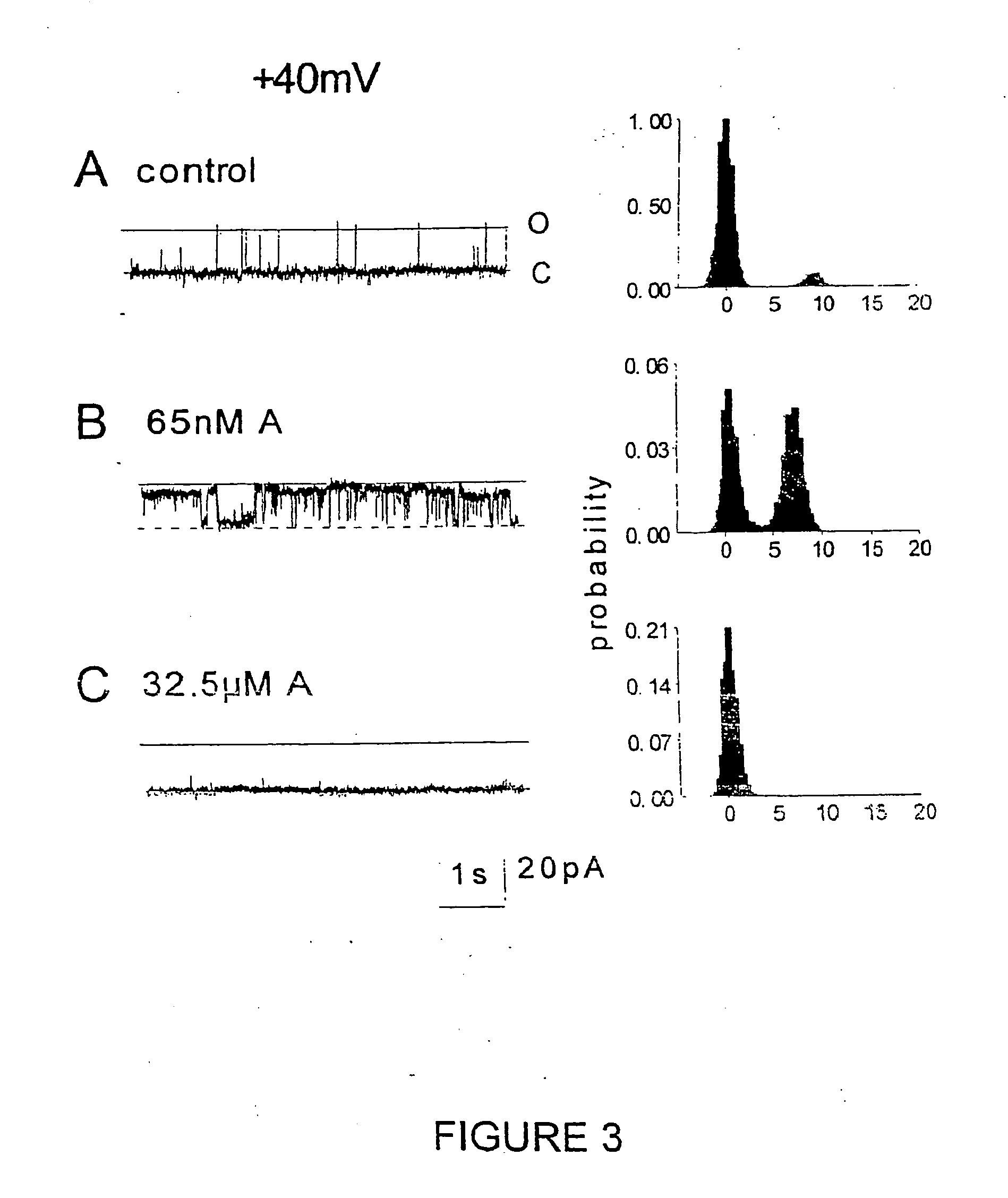 Method of modulating the activity of calcium channels in cardiac cells and reagents therefor