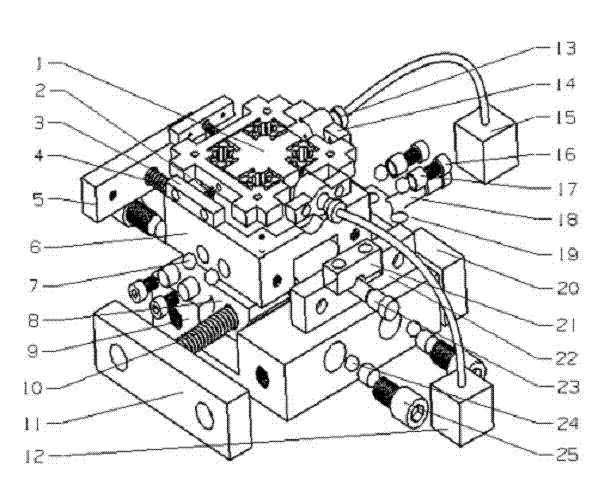 Macro/micro two-dimensional displacement platform