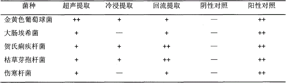 Traditional Chinese medicine preparation with bacteriostasis effect and production method thereof