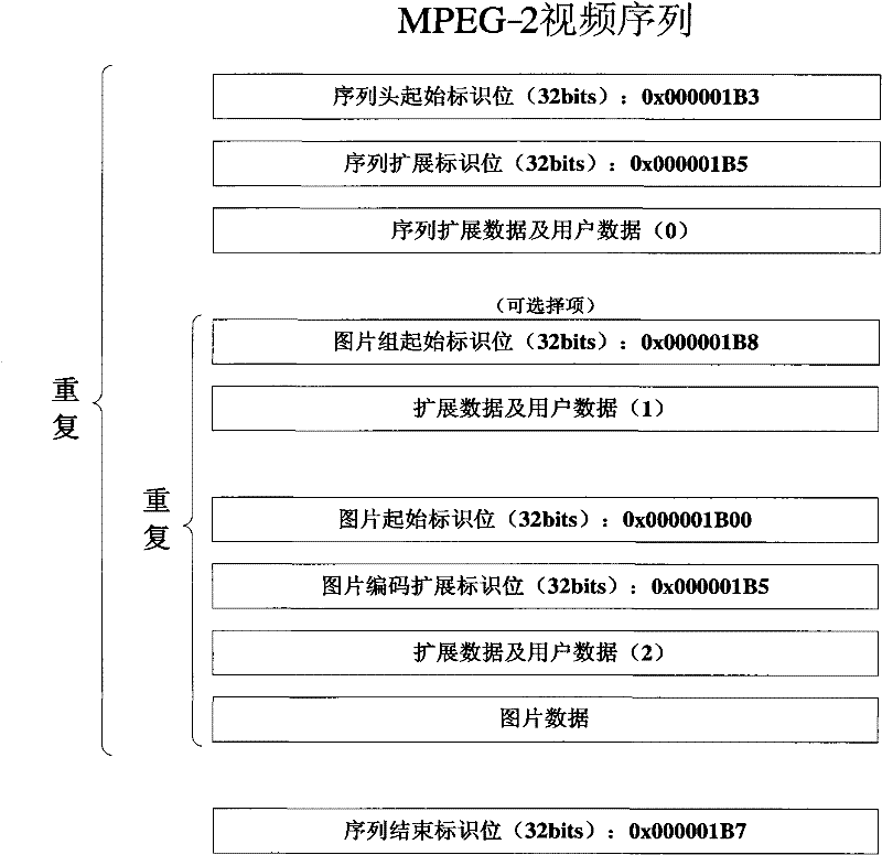 Video media watermark protection method