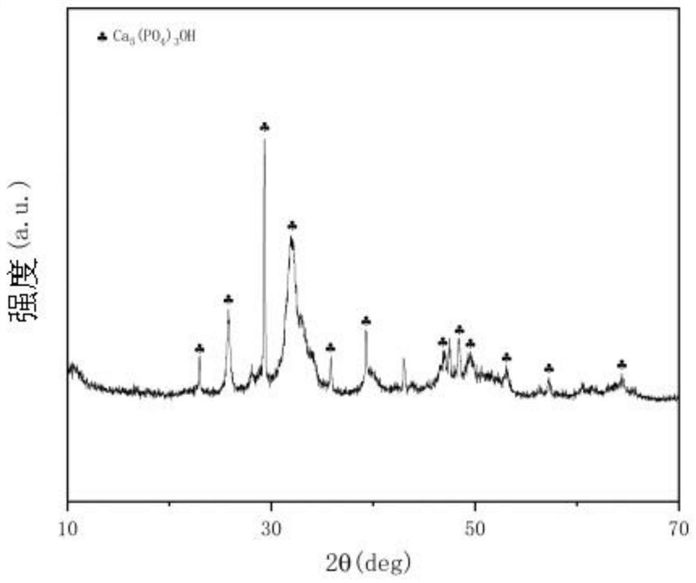 Method for removing boron and phosphorus in wastewater by coupling shell powder