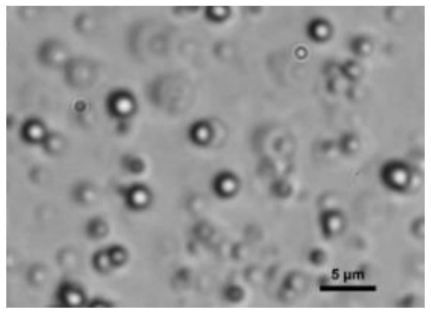 Essence capsule and preparation method thereof and wash supplies