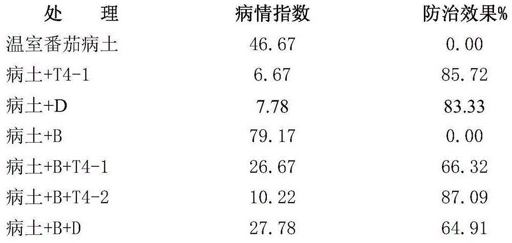 Preparation method and application of a growth-promoting and antibacterial Bacillus amyloliquefaciens, conditioning agent