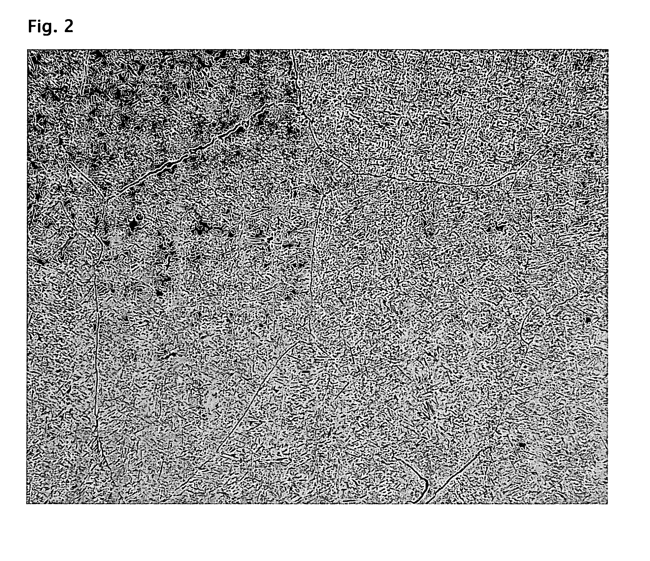 Methods of beta processing titanium alloys