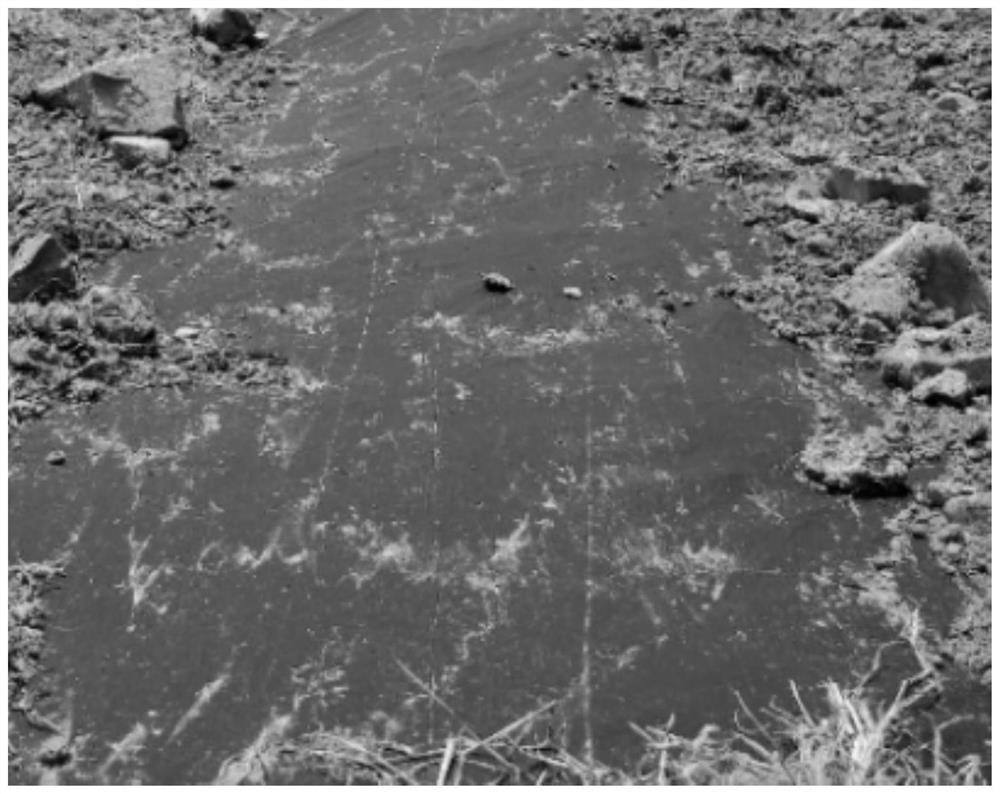 Full-degradable mulching film for mountain rice planting and preparation method thereof