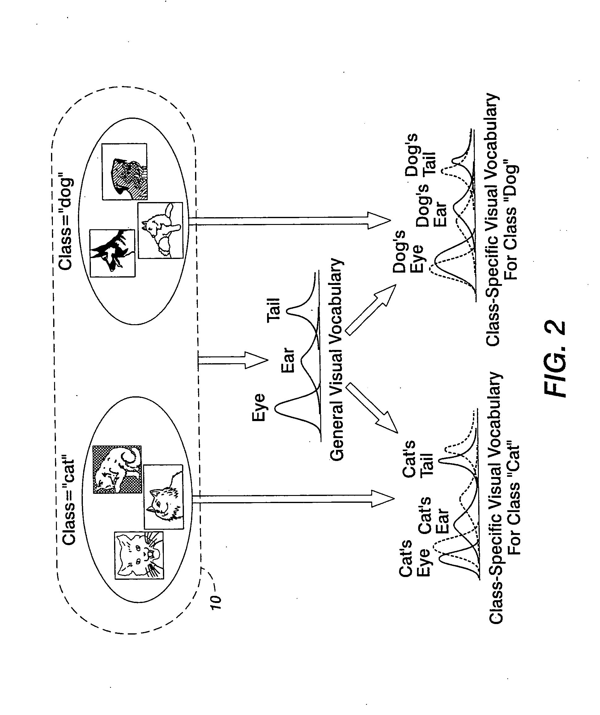 Generic visual classification with gradient components-based dimensionality enhancement