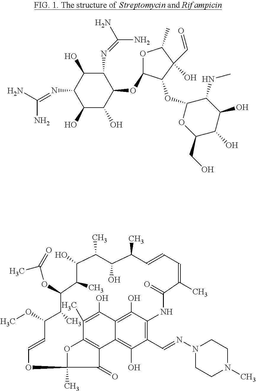 4-Pyrimidinylamino-benzenesulfonamide derivatives and their use for the inhibition of polo-like kinase 1 (PLK1) for the treatment of cancer and their use for the treatment of bacterial infections