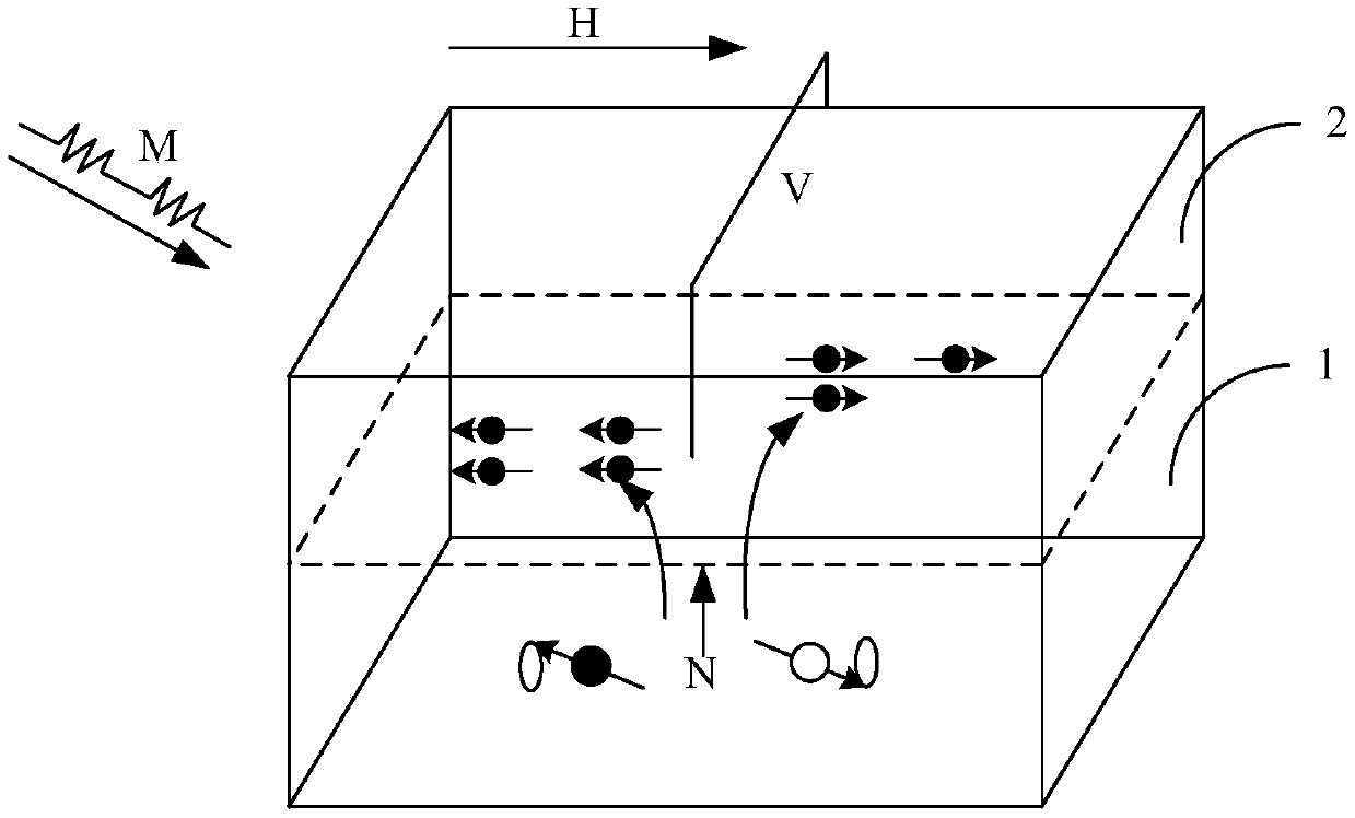 A kind of microwave power detector based on spin pumping effect and its preparation method