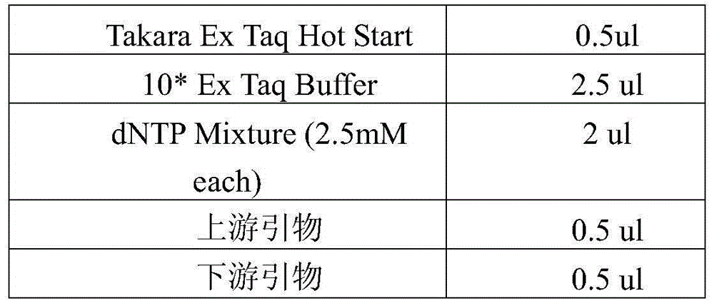 Multi-sample and multi-segment DNA methylation high-throughput sequencing method