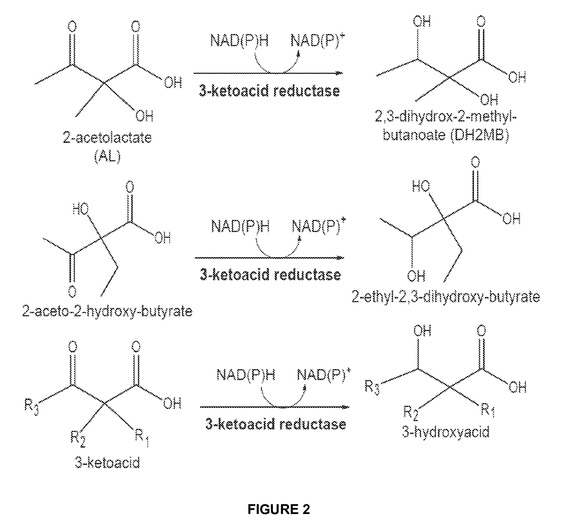 Reduced by-product accumulation for improved production of isobutanol