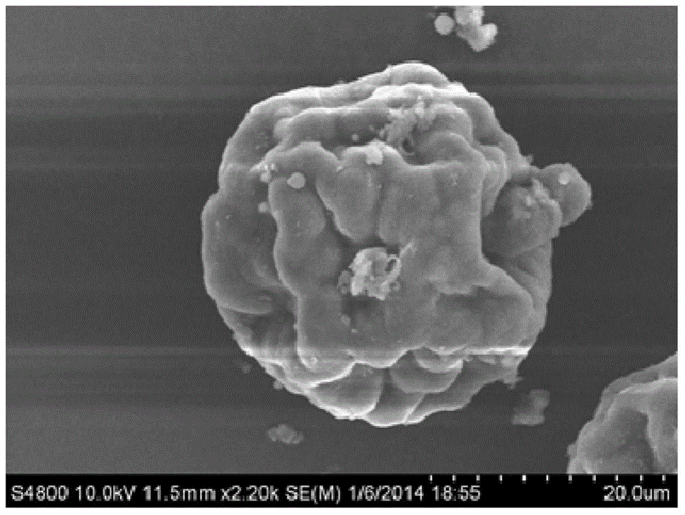 Preparation method of plga modified biofactor-loaded microsphere bone substitute material