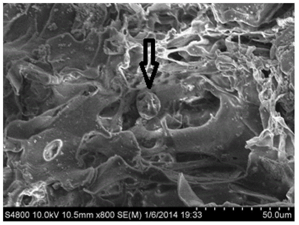 Preparation method of plga modified biofactor-loaded microsphere bone substitute material