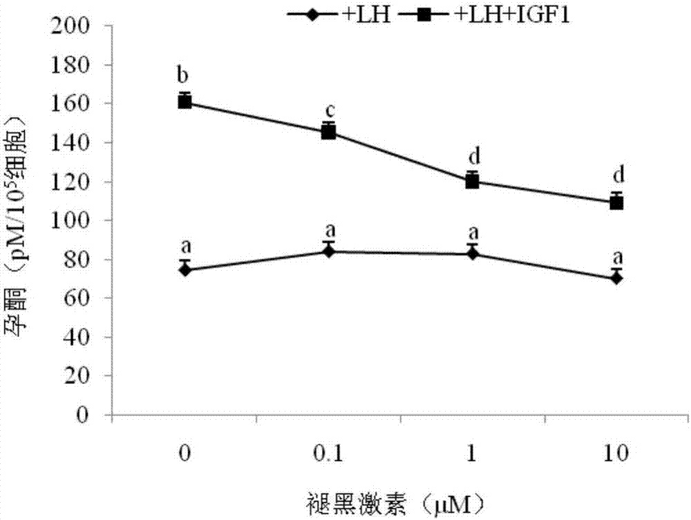 Bovine theca cell in vitro culture modifier and application thereof