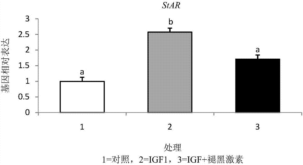 Bovine theca cell in vitro culture modifier and application thereof