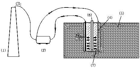 Calcium sand foundation carbon dioxide strengthening technology