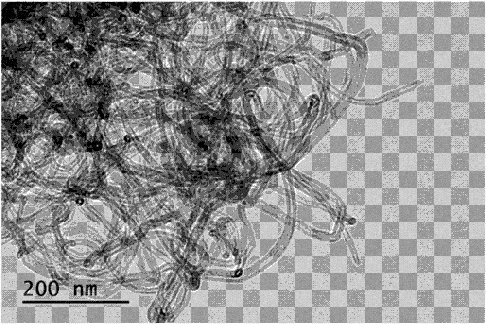 Preparation method for carbide catalyst for organic carbon vapor phase growth and application thereof