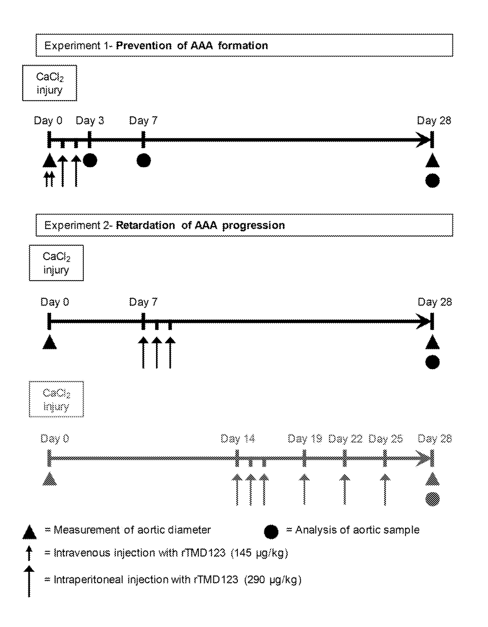 Pharmacological treatment of aortic aneurysm development