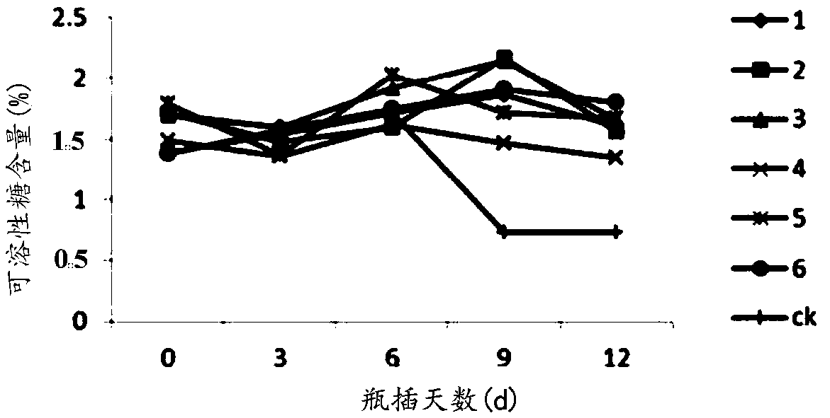 Hydrangea cut-flower preservative