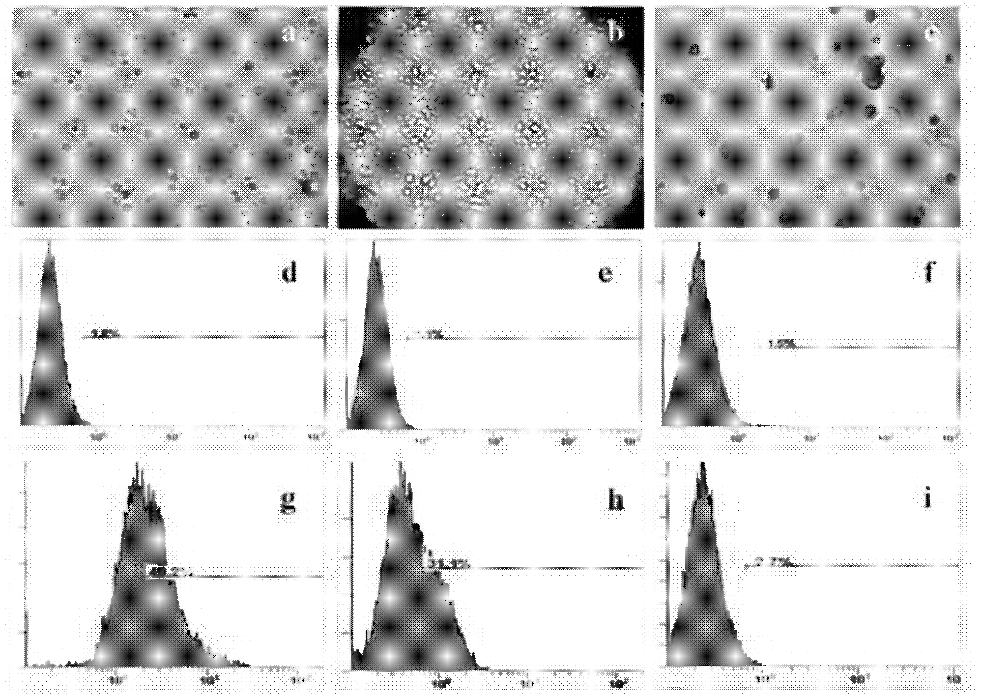 Medicine for accelerating skin repair and regeneration, preparation method thereof and application thereof