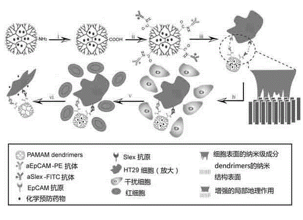 Functional nano material drug delivery system for identifying, capturing and restraining circulating tumor cells