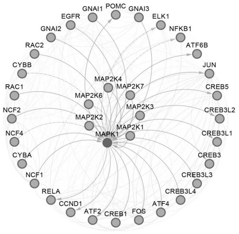 Molecular regulation relationship prediction method and system based on knowledge graph