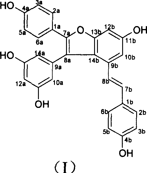 Application of Vam3 in preparing medicine for treating chronic obstructive disease of lung