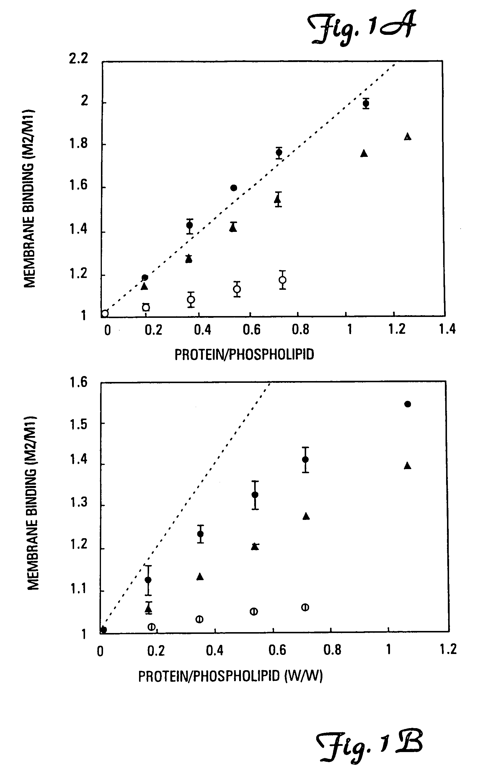 Modified vitamin K-dependent polypeptides