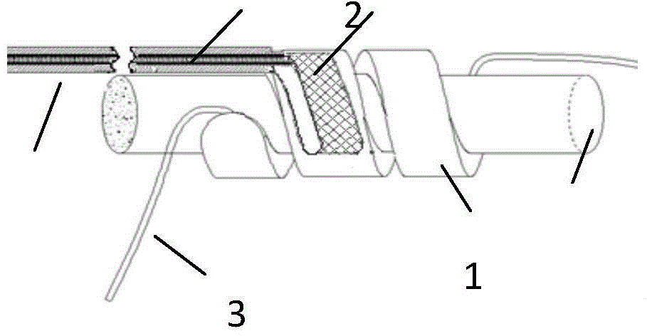 Implanted spiral electrode and manufacturing method thereof