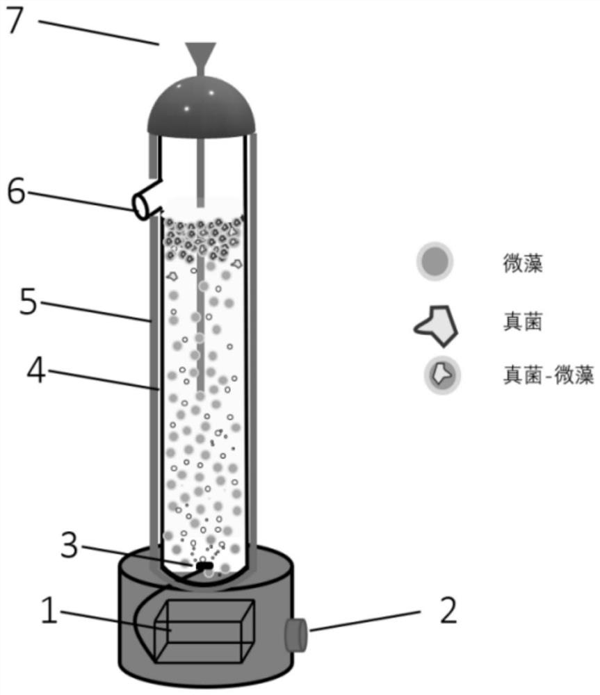 Method for harvesting microalgae by utilizing fungus floating biological pad