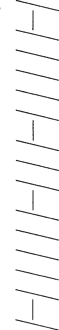 Production method of plywood for container bottom board